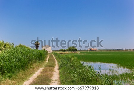 ストックフォト: Dirt Road Leading To A White House In The Rice Fields Of La Albu