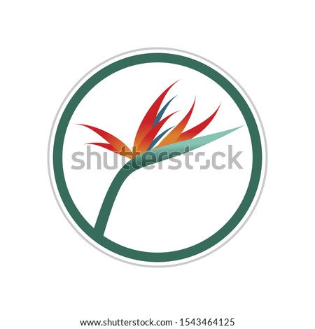 Bird Of Paradise Flower In A Circle Foto stock © Smith1979