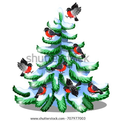 Merry Bullfinches Sit On A Snowy Spruce Isolated On White Background Sample Of Christmas And New Ye Foto stock © lady-luck