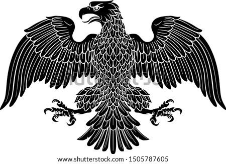 Stok fotoğraf: Arms In An Eagle