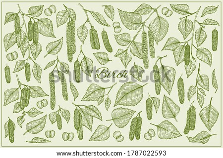 Stok fotoğraf: Birch Tree Leaves