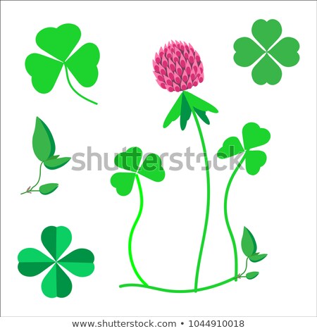 Zdjęcia stock: Luck Clover Leaves Vector Set Isolated On White Background Four
