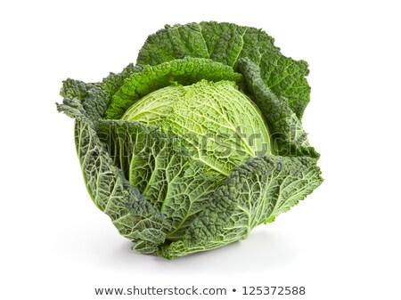 Stock photo: Fresh Savoy Cabbage