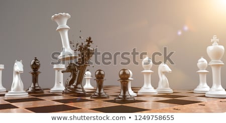 Stock photo: Checkmate