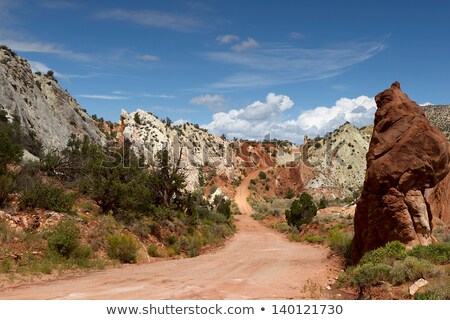 Stockfoto: Cottonwood Canyon Road Utah