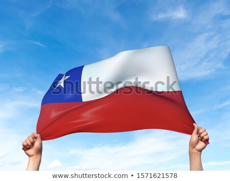 Stok fotoğraf: 3d Man Holding A Chile Flag