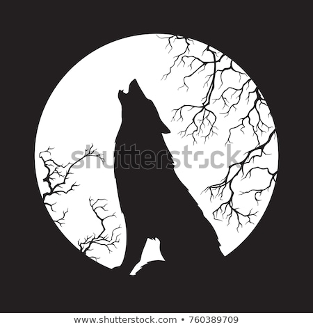 Stockfoto: Howling Wolf