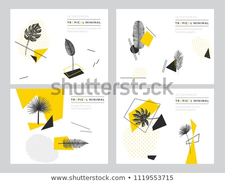 Stock photo: Jungle Poster Fern Frond Background Vector Illustration