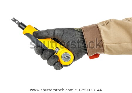 Stock foto: Hand Holding Ethernet Cable Socket Installation In Background