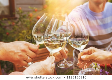 Stockfoto: Picnic With Red And White Wine