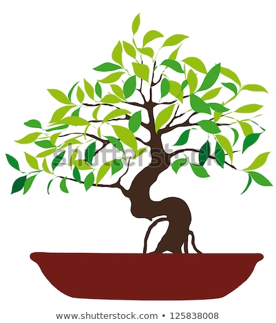 Stock photo: Japan Bonsai With Zen Symbol Vector