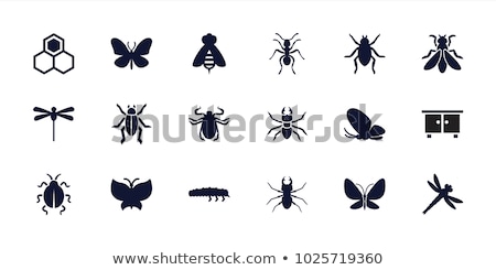 Stock foto: Insect Icons