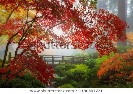 Foto d'archivio: Fall Colors By The Moon Bridge