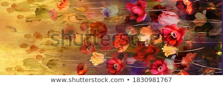 Stockfoto: Beautiful Bouquet Of Flowers With Amazing Blossoms