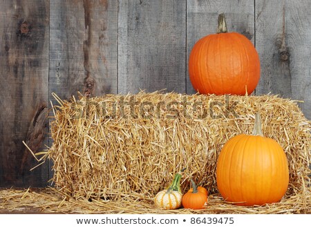 Zdjęcia stock: Pumpkin On Hay Stack