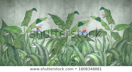 Stok fotoğraf: Large Swamp Plant Leaf Background