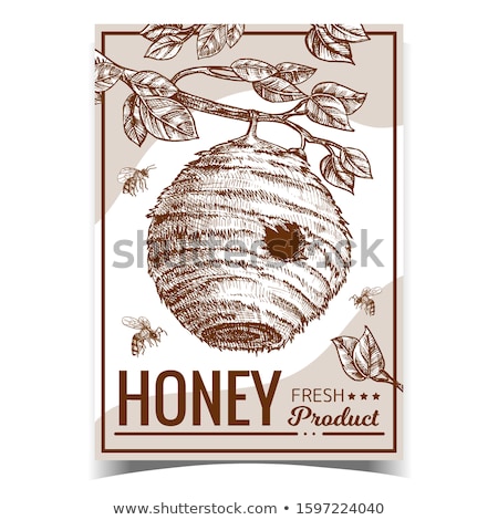 Foto stock: Beehive House Of Wild Bee On Branch Poster Vector