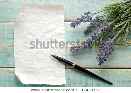 ストックフォト: Grunge Frame With Bunch Of Flower On The Paper Background