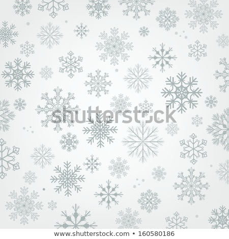 Stock fotó: Vector Set Of Snowflakes Background