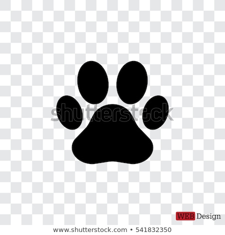 Foto stock: Dogs Paws