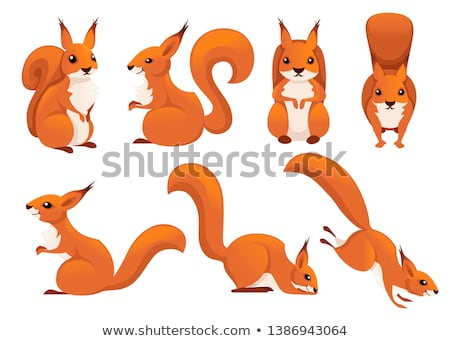 Stok fotoğraf: Happy Little Red Cartoon Squirrel