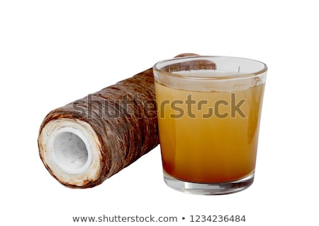 Foto d'archivio: Water Filter With Glass Isolated On White