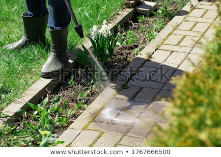 Сток-фото: Spring Washers