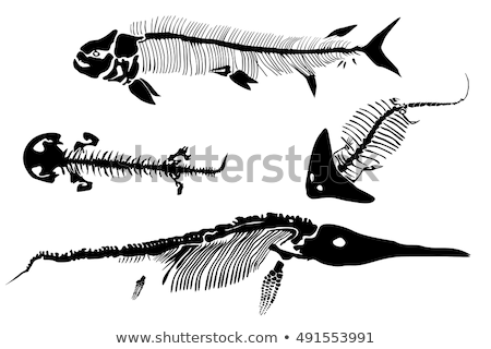 Foto stock: Fish Fossil