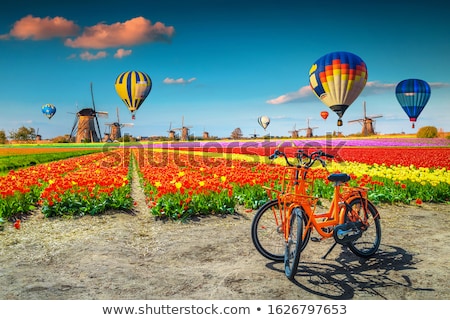 [[stock_photo]]: Hot Air Balloons At Tulip Field