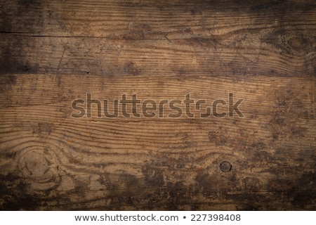 Zdjęcia stock: Tree Stumps Background Wood Background