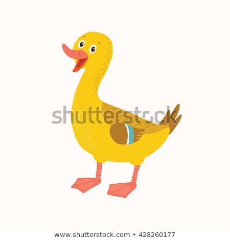 Stock photo: Cute Duckling Cartoon Vector