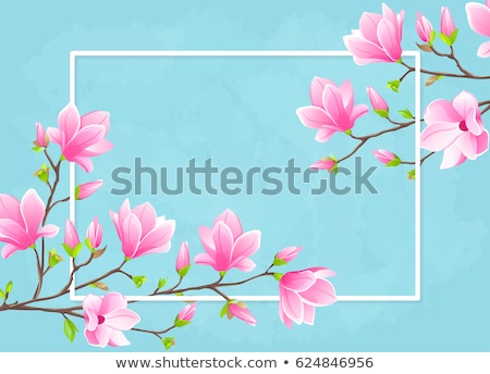 [[stock_photo]]: Set Of Sakura Flowers Eps 10