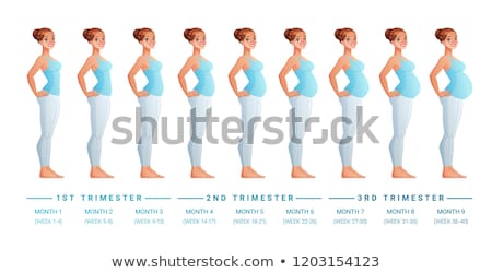 Foto stock: Nine Months Of Pregnancy Progression Vector Illustration