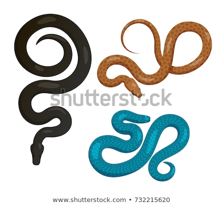 Foto stock: Slither Black Python Snake Top View Vector Icon