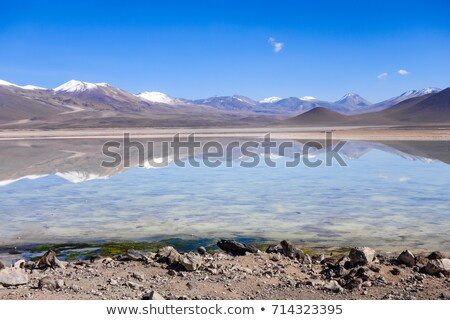 Сток-фото: Altiplano Laguna In Sud Lipez Reserva Bolivia