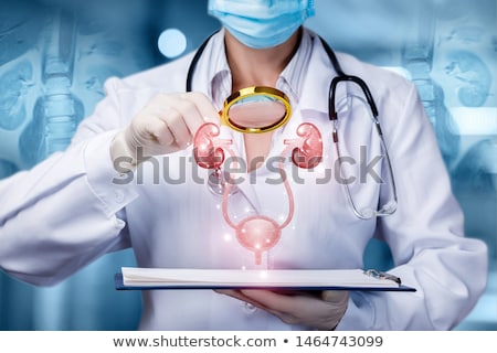 Stockfoto: Kidneys And Urinary Bladder Health Care