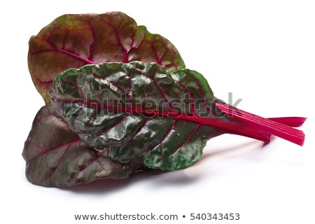 Stock photo: Ruby Chard Silverbeet Mangold Leaves Paths