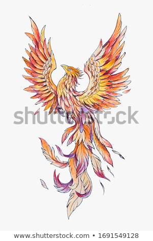 Stock fotó: Phoenix Burning Tail Drawing