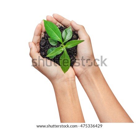 Сток-фото: Hands Holding Young Green Plant On Black Background The Concept Of Ecology Environmental Protecti