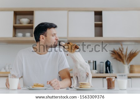 Stok fotoğraf: Male Host Kisses With Dog Eat Tasty Pancakes Drink Fresh Milk Pose At Kitchen During Morning Time