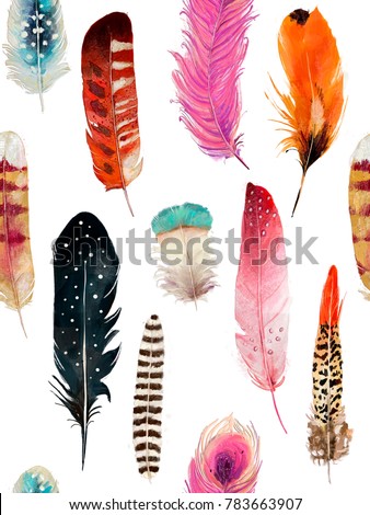 Сток-фото: Bright Exotic Feather With Colorful Stripes On White