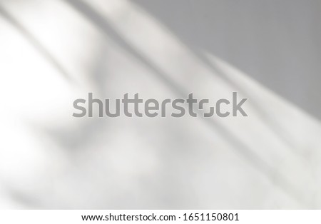 Stock photo: Shadows Overlay Effects Mock Up Window Frame Natural Light Vector Illustration