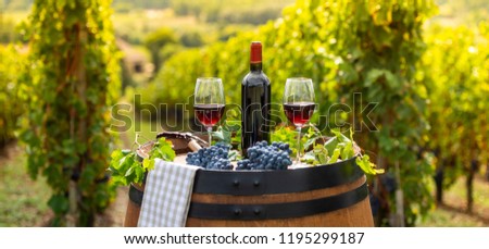 Stock photo: Pouring Red Wine Into The Glass Barrel Outdoor In Bordeaux Vineyard