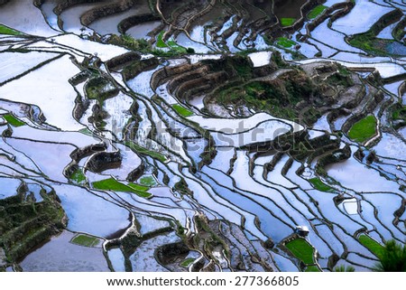 Foto stock: Abstract Rice Terraces Texture With Sky Reflection Banaue Philippines