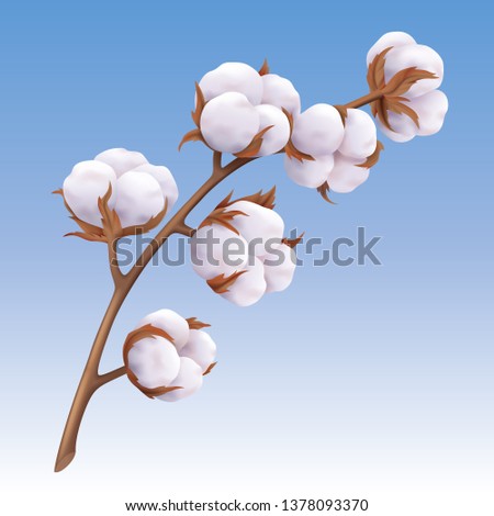 Zdjęcia stock: Beautiful Realistic Cotton Plant Flowers Isolated On Blue Green Background