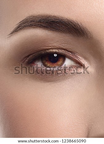 Stok fotoğraf: Eye Makeup Closeup Macro Shot Of Fashion Eyes Visage Close Up Of Woman Eye With Beautiful Brown W