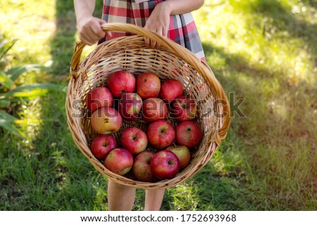 Сток-фото: Girl With Apples In Wicker Basket At Autumn Park