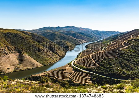 Vineyards At Douro River Valley Portugal Foto stock © homydesign