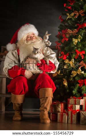 Сток-фото: Santa Claus Sitting Near Christmas Tree And Embracing His Cat