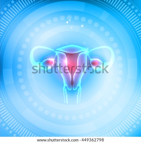 Stock fotó: Female Uterus And Ovaries On A Light Blue Abstract Round Circle